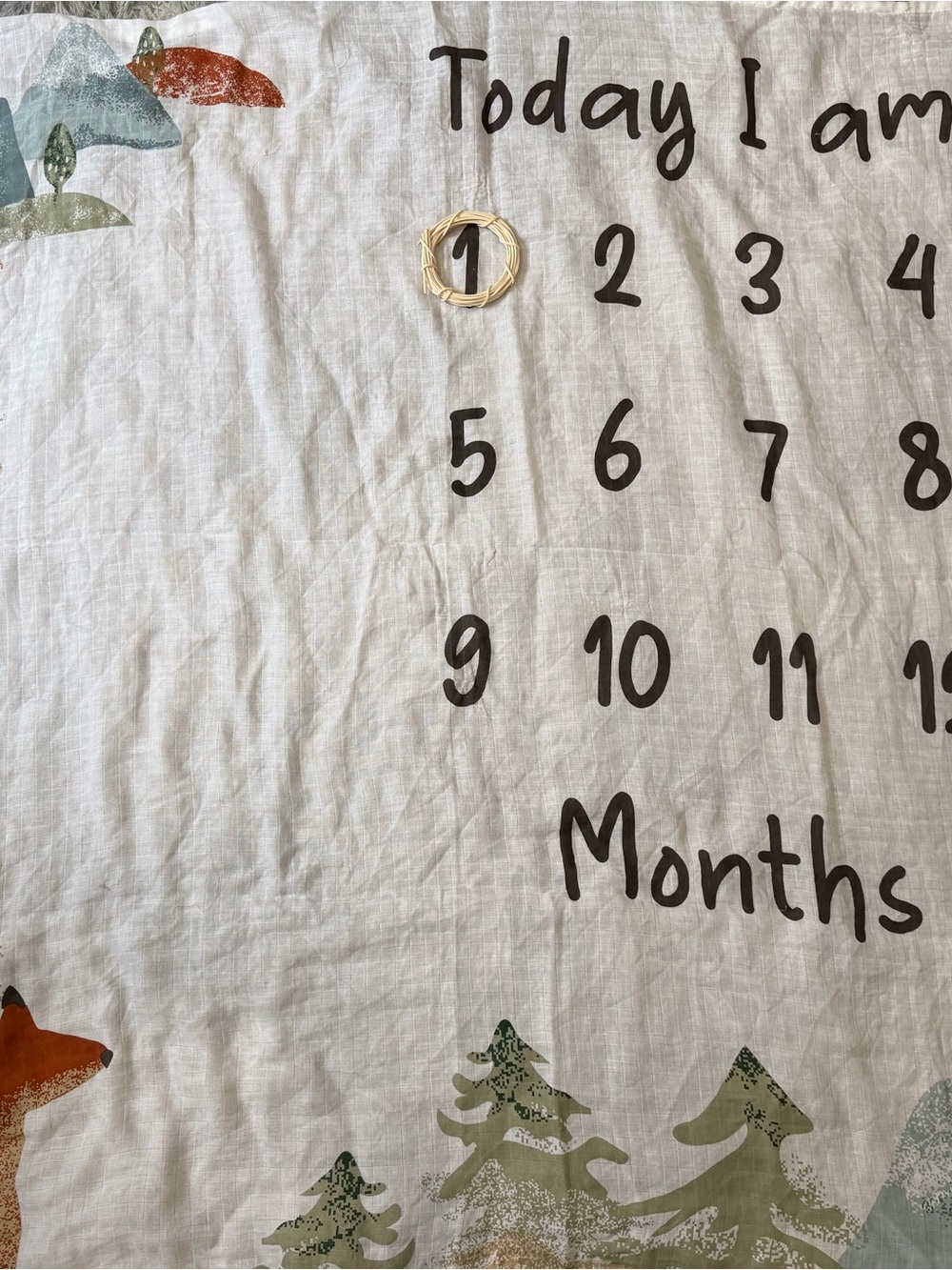 Milestone Baby Blanket - Neutral Forest Months Design